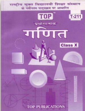 NIOS Mathematics 211 Guide Books 10th Hindi Medium