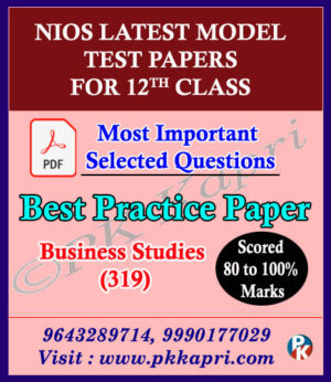 Nios Model Test Paper Business Study - 319 -12th Class English Medium in Pdf