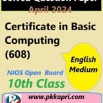 Certificate in Basic Computing 608 Nios Class 10 Exam Solved Question Paper April 2024
