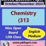 Nios Chemistry (313) Solved Question Paper November 2024 Exam Class 12