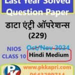 Nios Data Entry Operation 229 Exam Solved Question Paper November 2024 Class 10