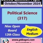 Nios Political Science (317) Solved Question Paper November 2024 Exam Class 12