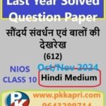Beauty Culture and Hair Care 612 Nios Solved Question Paper November 2024 Class 10