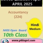 Nios Class 10 लेखांकन (224) Solved Paper April 2025